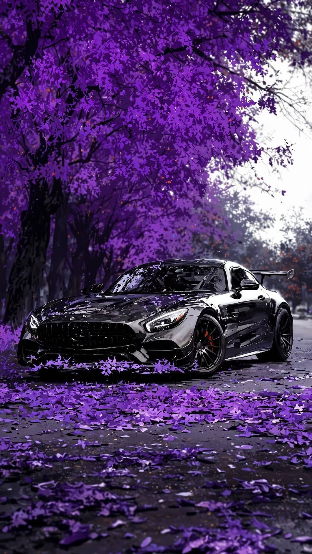 Sports Car - Cars Wallpaper